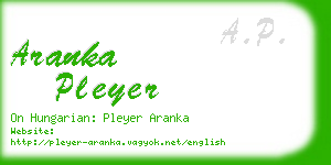 aranka pleyer business card